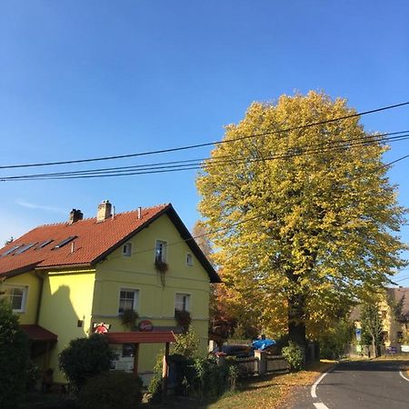 Pension U Rytire Janov Kültér fotó
